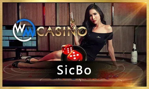 Sports betting odds and interface at 599jili